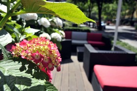 Golden Tulip Hamburg