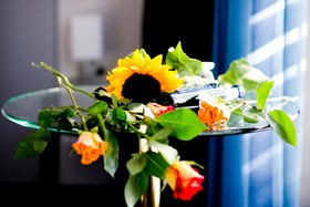 Hotel Ambassador-Berlin-Grünau
