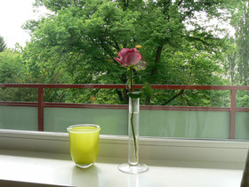 Hotel Carolinenhof