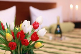 Hotel Central INN