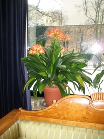 Hotel Friedenau - Das Literaturhotel Berlin