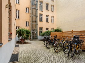 Numa Berlin Kater