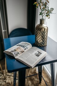 URBN Dreams Misty Forest