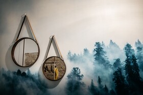 URBN Dreams Misty Forest