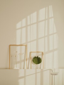 Wilmina Hotel