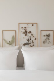 Wilmina Hotel