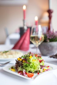 Hotel Rosenstadt Forst