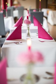 Hotel Rosenstadt Forst