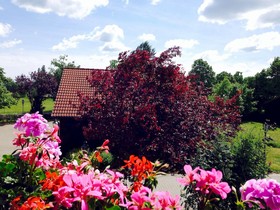 Hotel & Restaurant Zur Spreewälderin