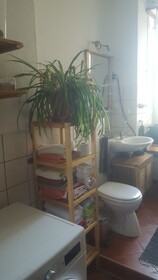 LoftFarm