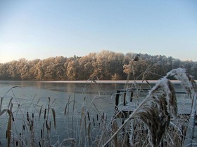 Zum Rittmeister