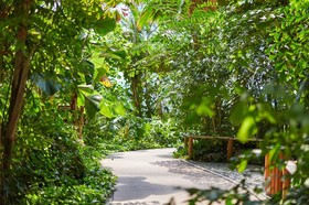 Tropical Islands
