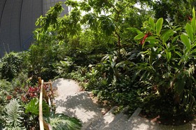 Tropical Islands