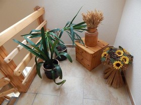 Pension Tor zum Spreewald