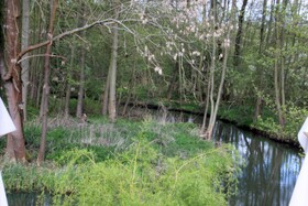 Pension Spreewaldhof Leipe