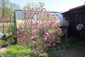 Pension Spreewaldhof Leipe