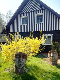 Pension Spreewaldhof Leipe