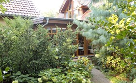 Am Katharinenholz