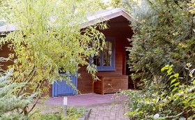 Am Katharinenholz