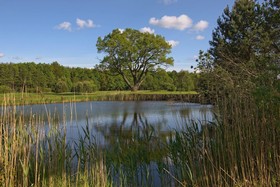 GolfResort Semlin am See