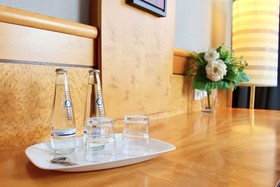 Parkhotel Viktoria