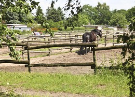 Country Inn Hotel Phöben