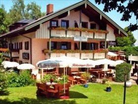 Möwe am See