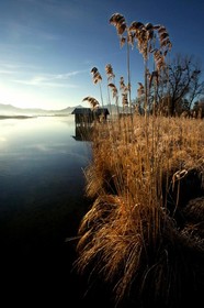 Zum Fischer am See