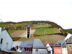 Gelber Hof