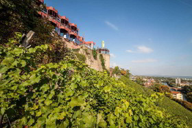 Kauzenburg Superior