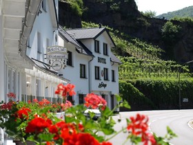Land-gut-Hotel Zum Sänger
