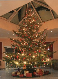 Parkhotel Maasberg