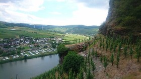 Weingut & Gstehaus Kaufmann-Schneider