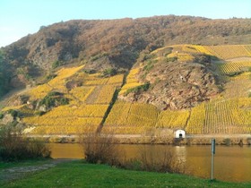 Weingut & Gstehaus Kaufmann-Schneider