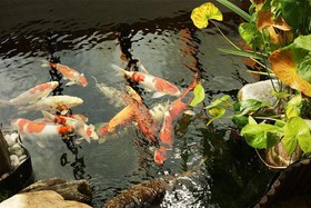 Gartenhotel Hunsrücker Fass