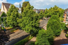 Hier & Jetzt in Monschau City
