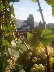 Gasthaus Weingut Stahl