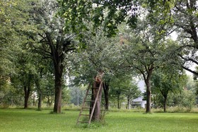 Eifel-Appartementen