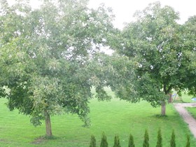 Eifel-Appartementen