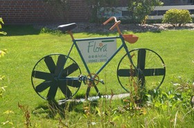 Flora