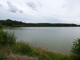 SeeblickHotel Haseluenne