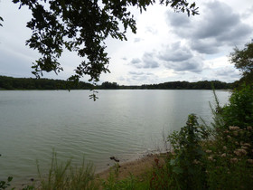 SeeblickHotel Haseluenne