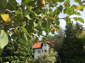 Landhaus-Pension Göke