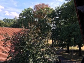 Landhaus-Pension Göke