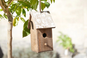 Ferienhaus Lemon Tree