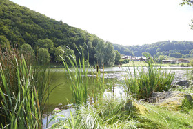 Ferienhaus Lemon Tree