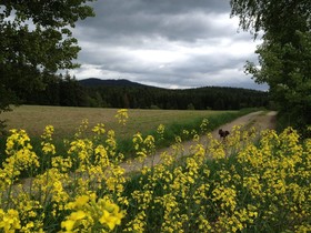 Schmankerl - Hotel Bauer