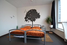 Arena Hostel Hamburg