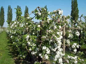 Bundt's Gartenrestaurant