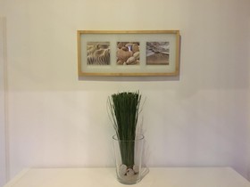 My Brand Boardinghouse